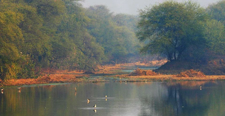 SARDAR SAMAND LAKE