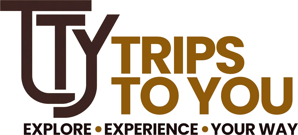 Trips To You