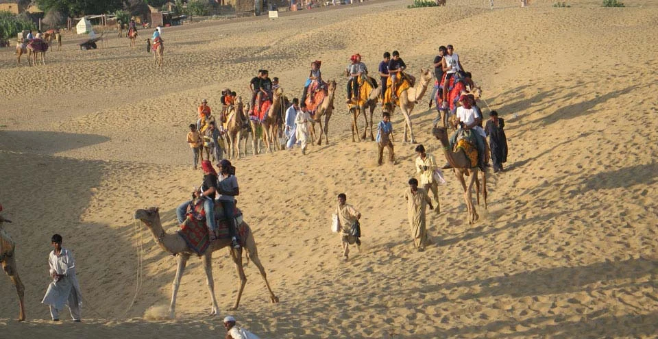 PUSHKAR CAMEL SAFARI