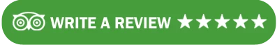 Tripadvisor Review